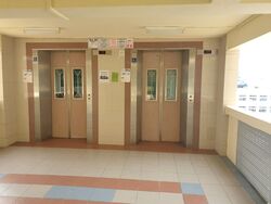 Blk 806 King George's Avenue (Kallang/Whampoa), HDB 3 Rooms #560676931